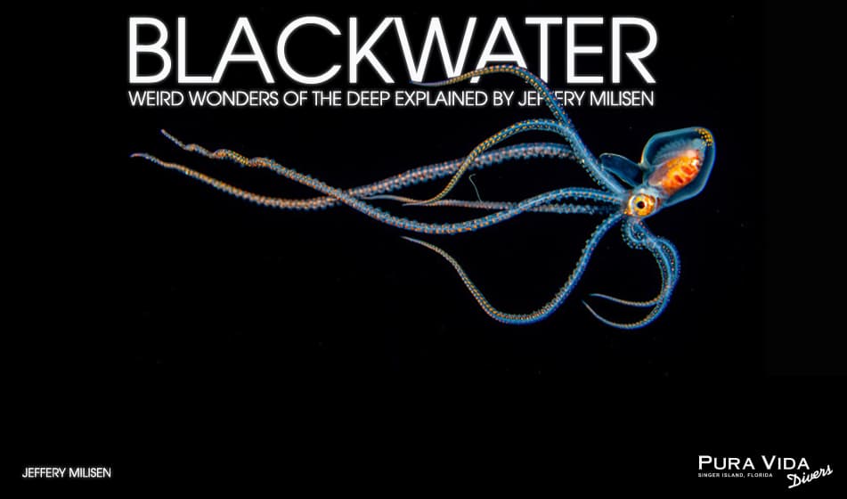 BLACKWATER: WEIRD WONDERS OF THE DEEP