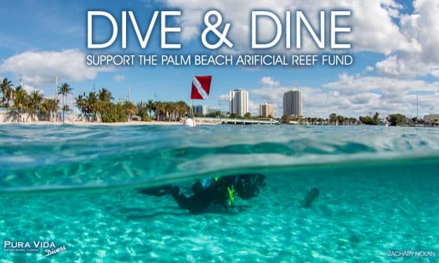 DIVE & DINE: SUPPORT PBC ARTIFICIAL REEFS