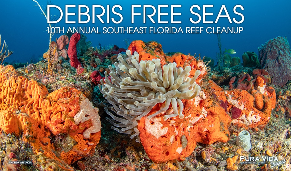 DEBRIS FREE SEAS: REEF CLEANUP
