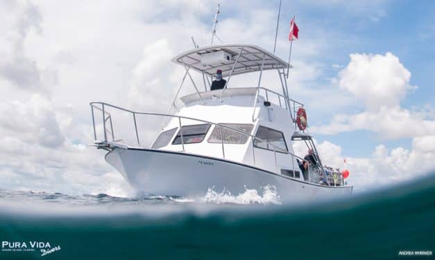 CALLING ALL CAPTAINS