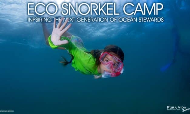 BECOME OCEAN STEWARDS AT ECO SNORKEL CAMP