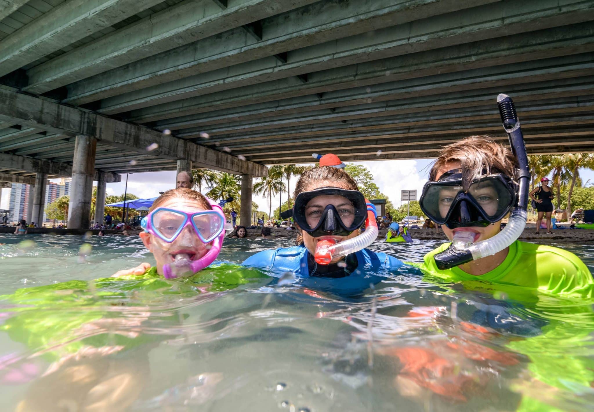 become ocean stewards at eco snorkel camp