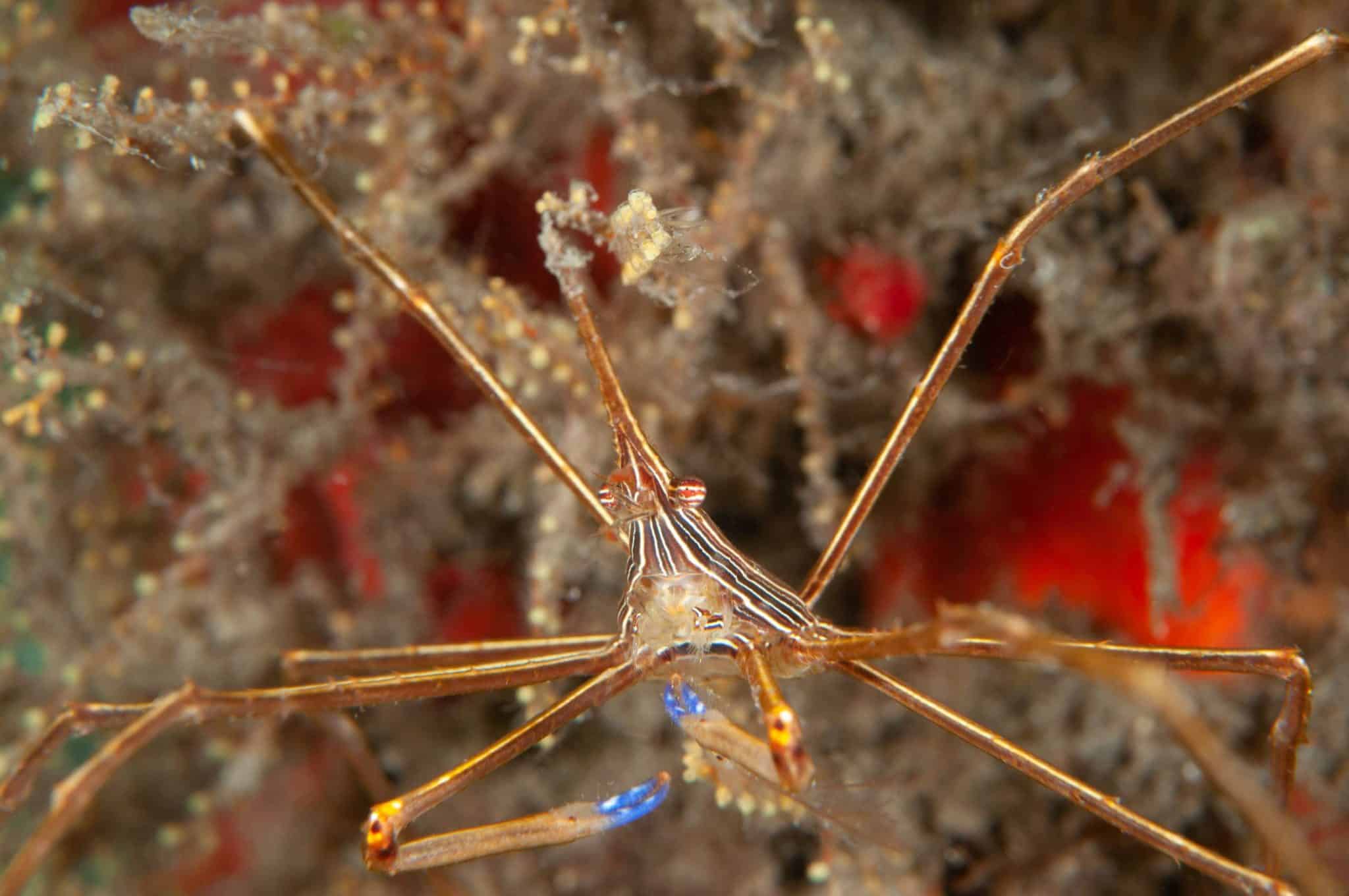 prep your pics for holiday gifts