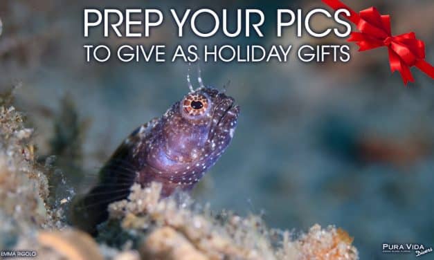 PREP YOUR PICS TO GIVE AS HOLIDAY GIFTS
