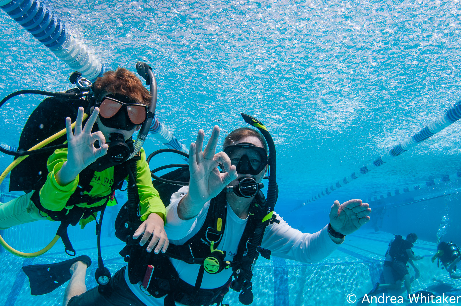 give the gift of diving