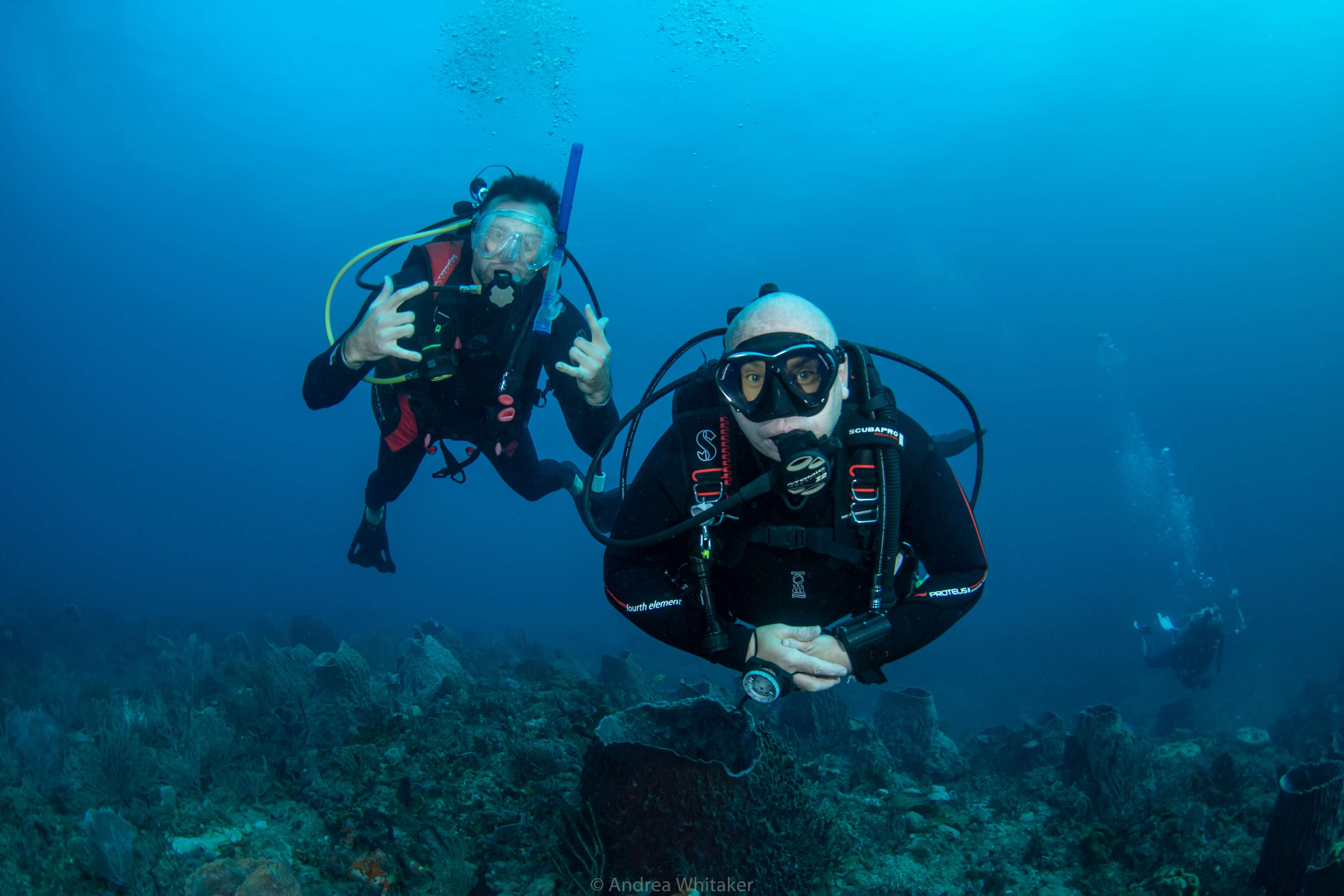 give the gift of diving