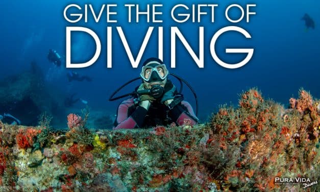 GIVE THE GIFT OF DIVING: TREAT YOUR LOVED ONES TO A SCUBA EXPERIENCE