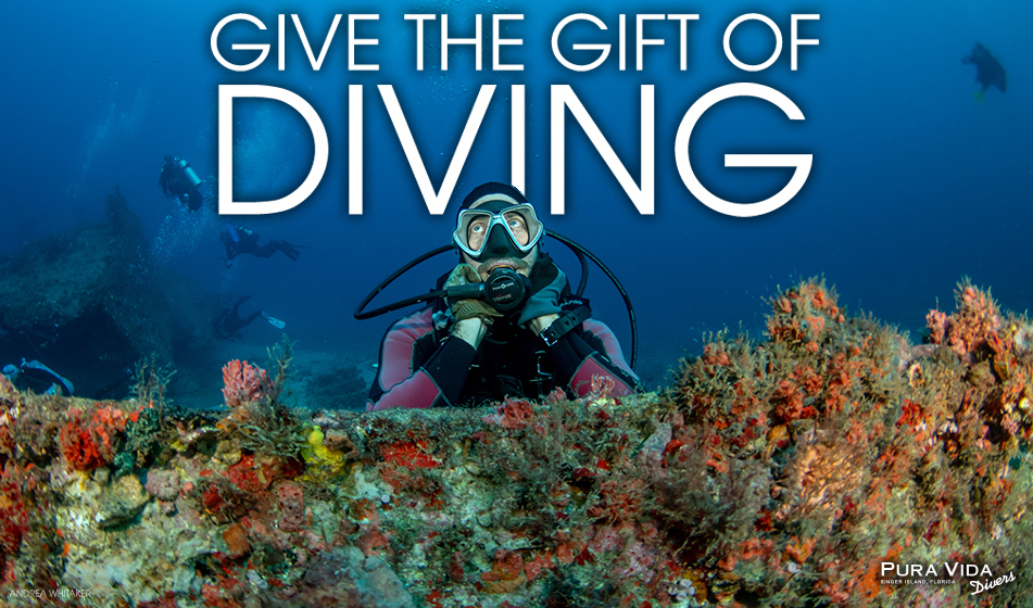 GIVE THE GIFT OF DIVING: TREAT YOUR LOVED ONES TO A SCUBA EXPERIENCE