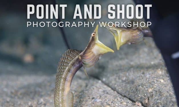 POINT AND SHOOT PHOTOGRAPHY WORKSHOP