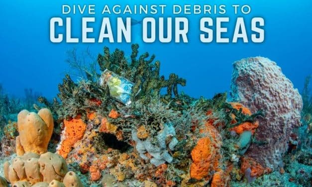 DIVE AGAINST DEBRIS TO CLEAN OUR SEAS