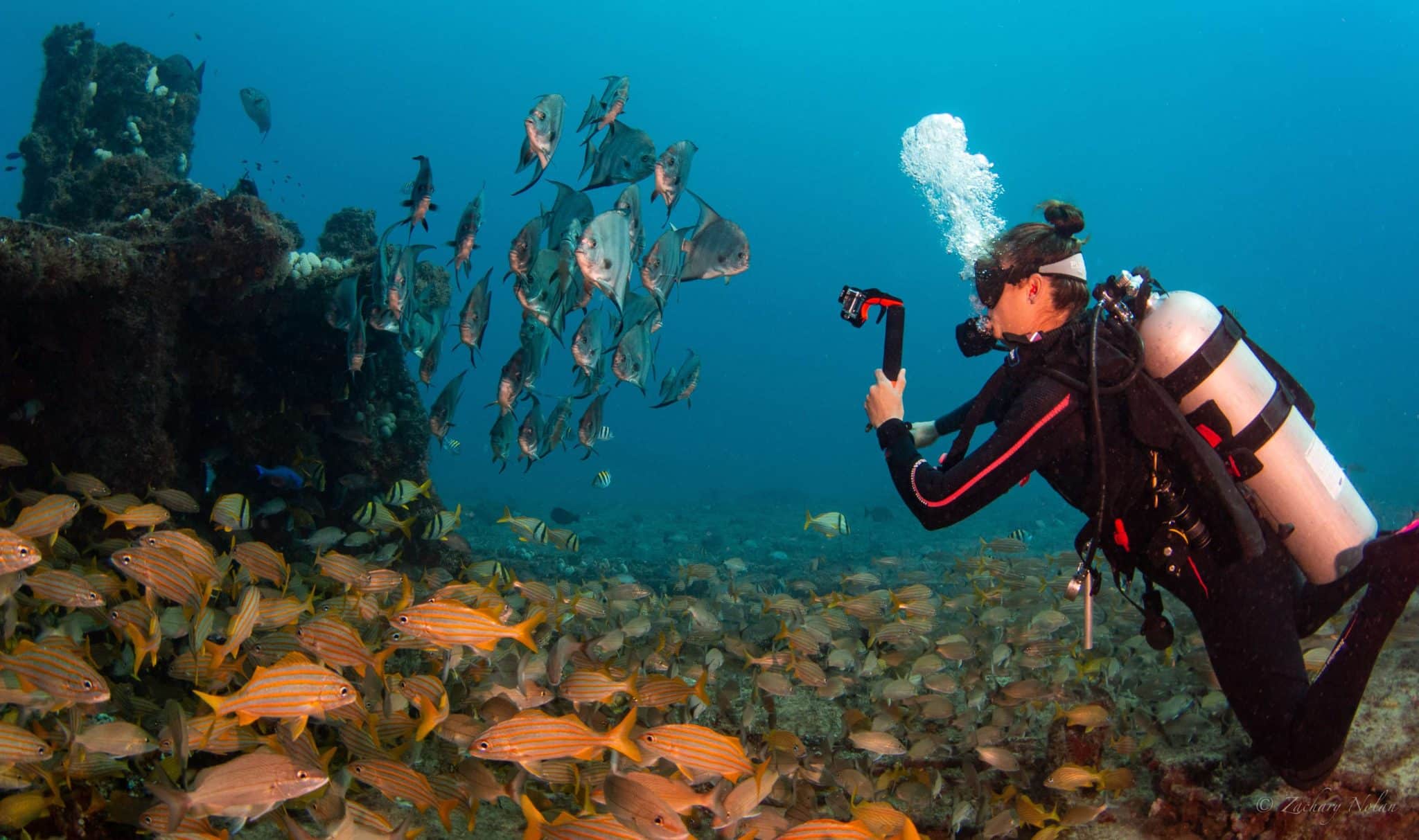 point and shoot photography workshop