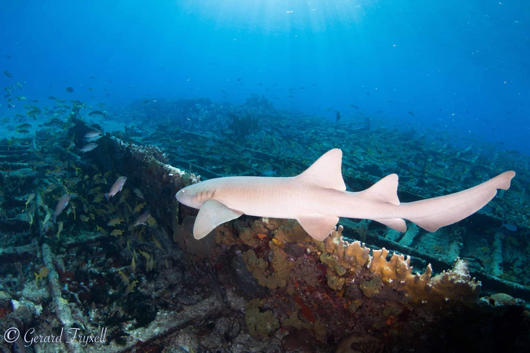 wide angle lighting workshop