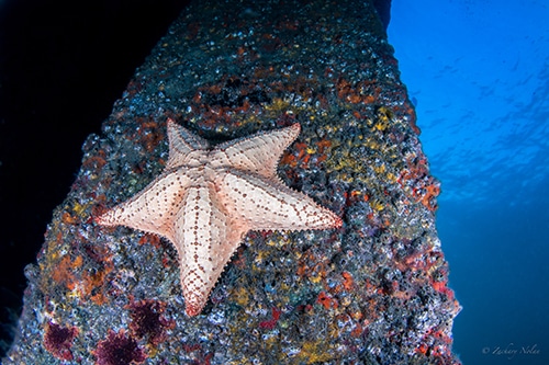 wide angle lighting photo workshop