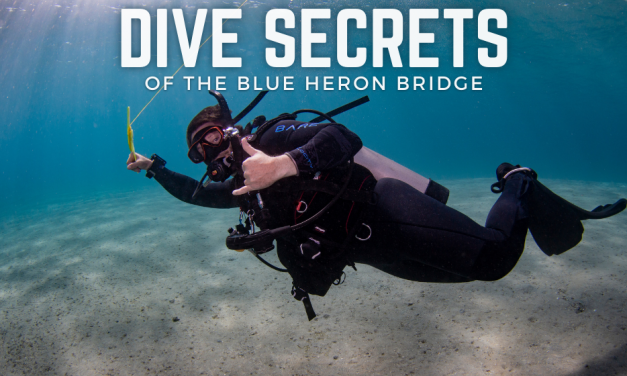 SECRETS OF DIVING THE BLUE HERON BRIDGE