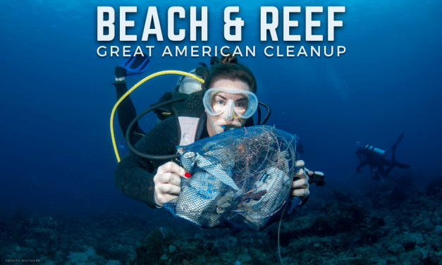 GREAT AMERICAN BEACH & REEF CLEANUP