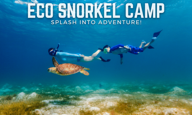 KIDS ECO SNORKEL CAMP