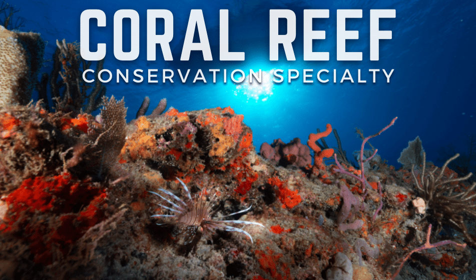 CORAL REEF CONSERVATION SPECIALTY