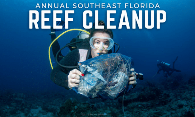 ANNUAL FLORIDA REEF CLEANUP
