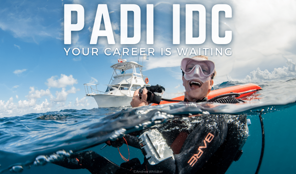 START YOUR JOURNEY TO PADI PRO