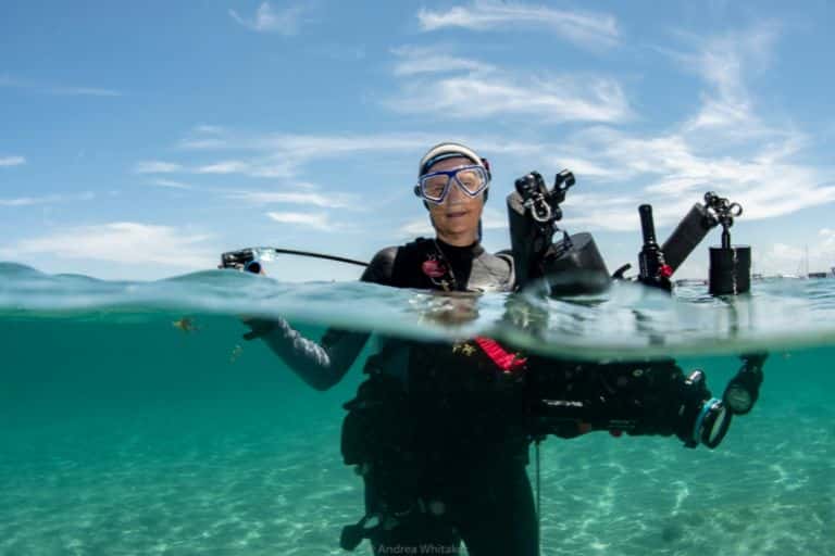 point and shoot photography workshop