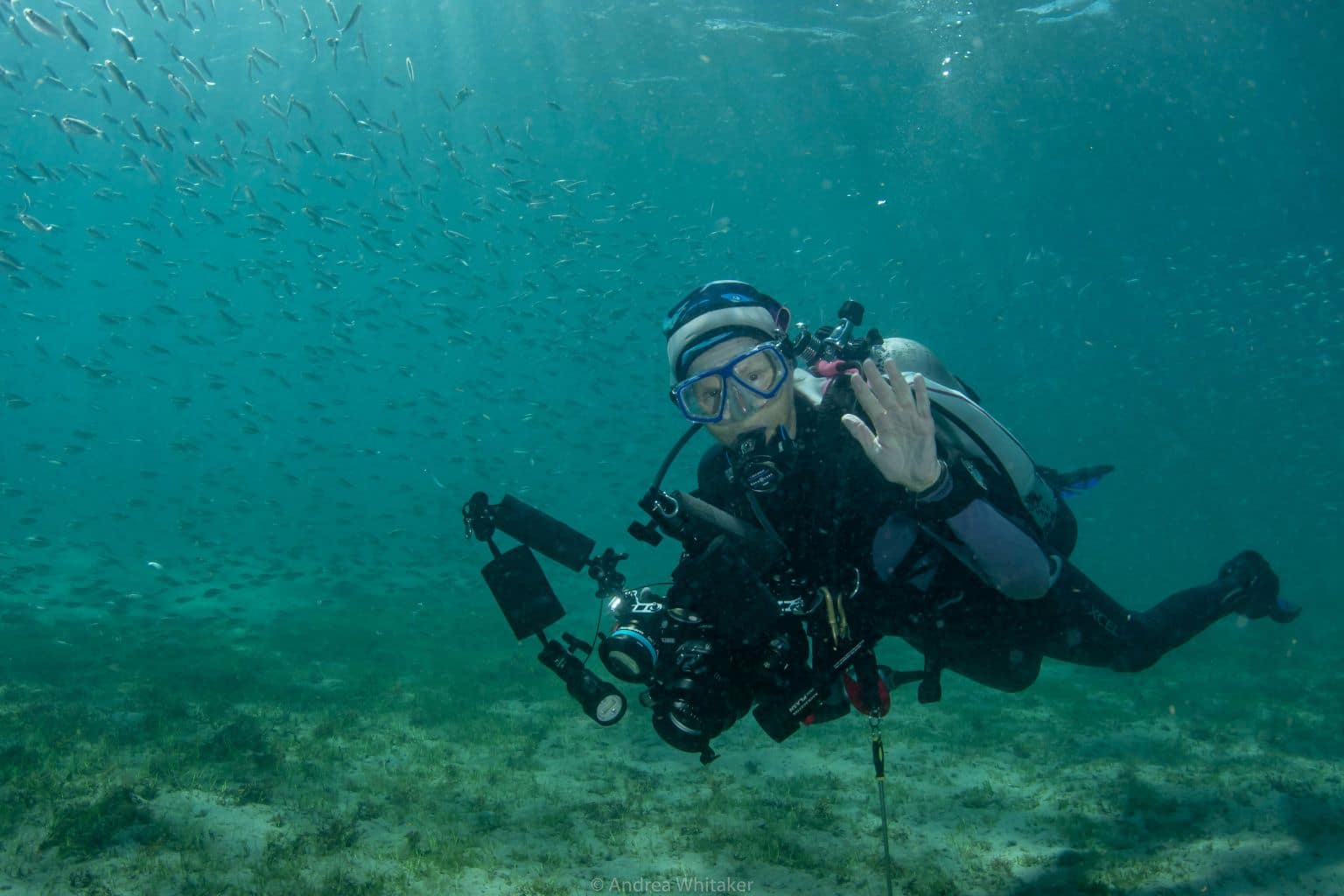 point and shoot photography workshop