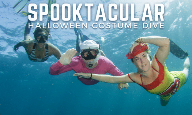 SPOOKTACULAR HALLOWEEN COSTUME DIVE