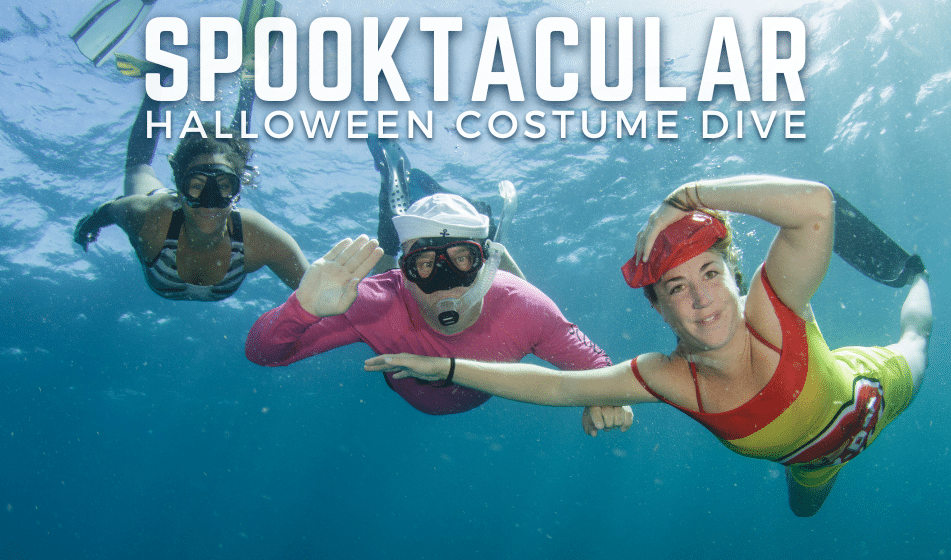 SPOOKTACULAR HALLOWEEN COSTUME DIVE