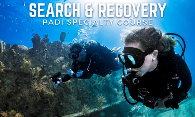 SEARCH AND RECOVERY SPECIALTY