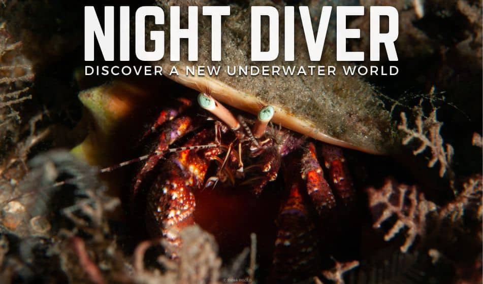 PADI NIGHT DIVER SPECIALTY