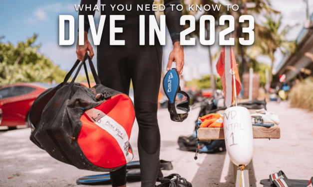 2023 DIVE POLICY UPDATES