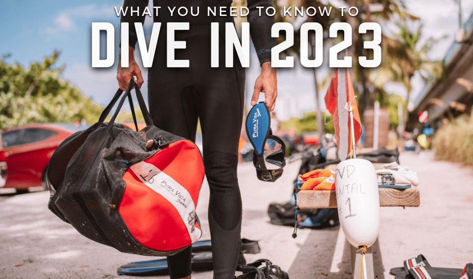 2023 DIVE POLICY UPDATES
