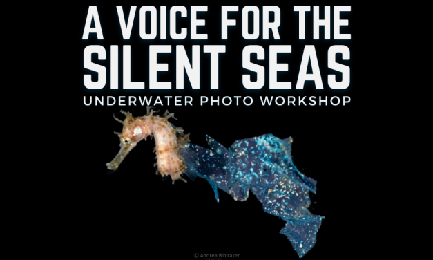 PHOTO WORKSHOP: A VOICE FOR THE SILENT SEAS
