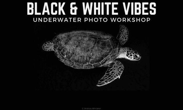 BLACK & WHITE PHOTOGRAPHY WORKSHOP