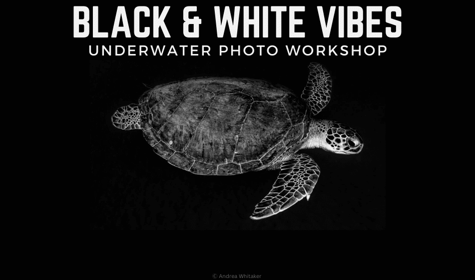 BLACK & WHITE PHOTOGRAPHY WORKSHOP