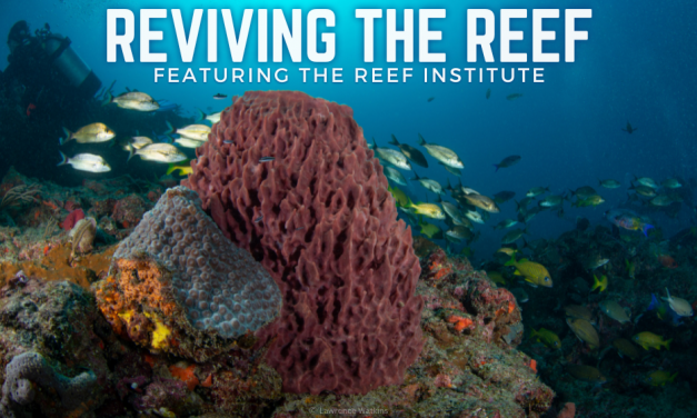 REVIVING THE REEF: FEATURING THE REEF INSTITUTE