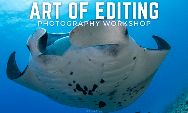 THE ART OF EDITING PHOTO WORKSHOP