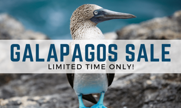 GALAPAGOS SKY LIVEABOARD
