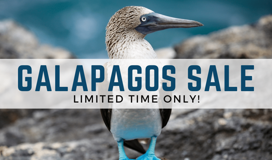 GALAPAGOS SKY LIVEABOARD