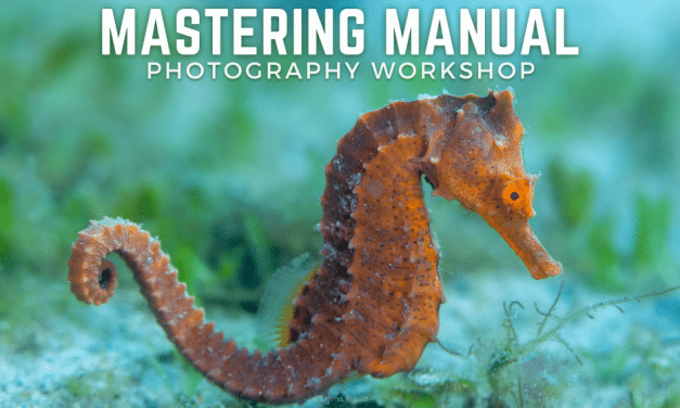 MASTERING MANUAL PHOTOGRAPHY WORKSHOP
