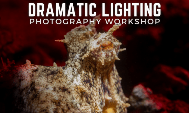 Dramatic Lighting Photo Workshop