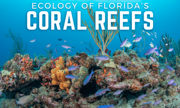 Coral Reef Ecology Class
