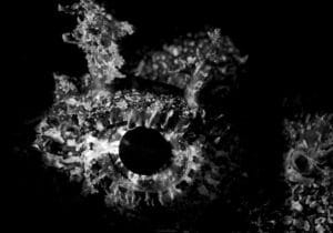 Scorpionfish Eye in Photo Noir Style by Andrea Whitaker