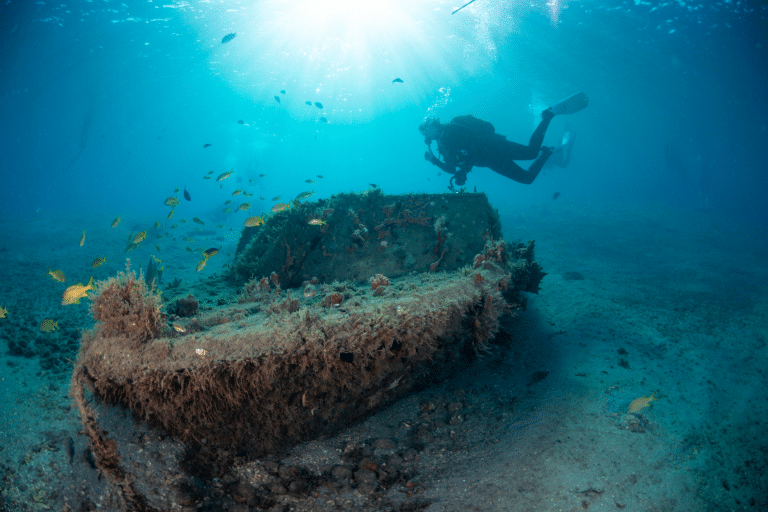 Diver exploring a sunken boat at Blue Heron Bridge