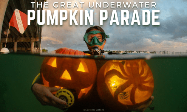 Pumpkin Carving & Parade