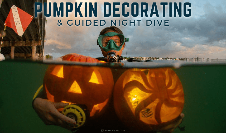 Pumpkin Carving & Night Dive