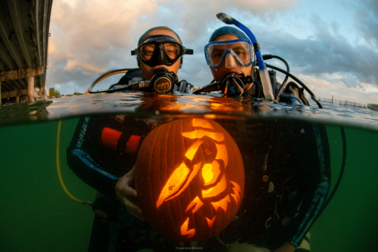 Divers with a carved pumpkin at Blue Heron Bridge