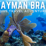Cayman Brac Dive Adventure