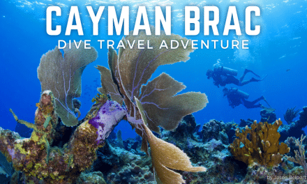 Cayman Brac Dive Adventure