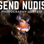 Send Nudis: Photo Contest