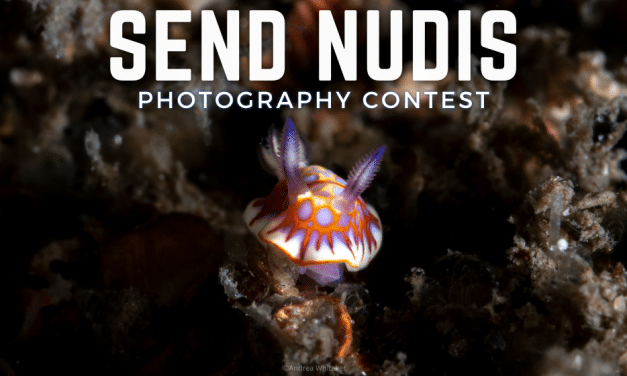 Send Nudis: Photo Contest
